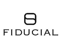 FIDUCIAL EXPERTISE (TOULOUSE)