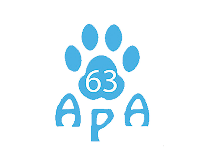 APA 63